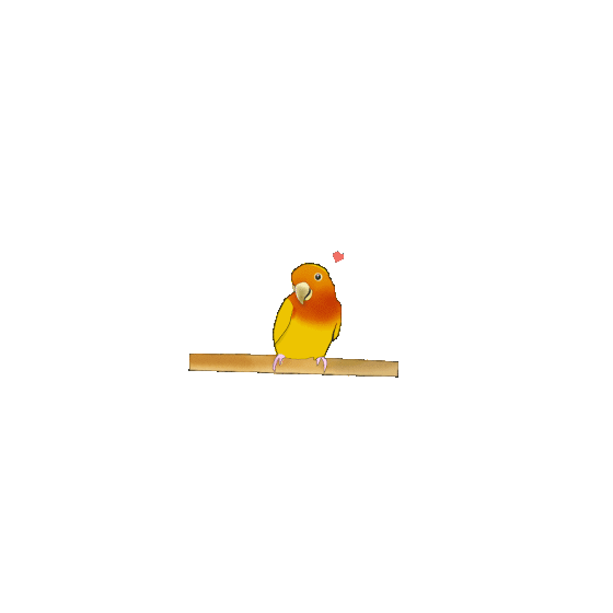 LOVEBIRD