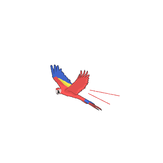 MACAOW